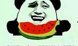 我是吃瓜第一名免费阅读,揭秘娱乐圈幕后真相